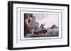 Bird Catching from Below-J.h. Clark-Framed Premium Giclee Print