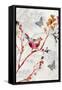 Bird & Cherry Blossoms II-Susan Jill-Framed Stretched Canvas