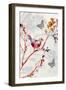 Bird & Cherry Blossoms II-Susan Jill-Framed Art Print