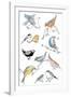 Bird Chorus-Sandra Jacobs-Framed Giclee Print