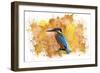 Bird Collection 2-Ata Alishahi-Framed Giclee Print