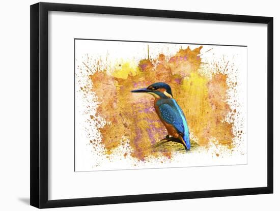 Bird Collection 2-Ata Alishahi-Framed Giclee Print