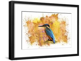 Bird Collection 2-Ata Alishahi-Framed Giclee Print