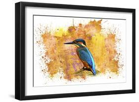 Bird Collection 2-Ata Alishahi-Framed Giclee Print