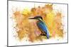 Bird Collection 2-Ata Alishahi-Mounted Giclee Print