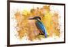 Bird Collection 2-Ata Alishahi-Framed Giclee Print