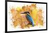 Bird Collection 2-Ata Alishahi-Framed Giclee Print