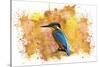 Bird Collection 2-Ata Alishahi-Stretched Canvas