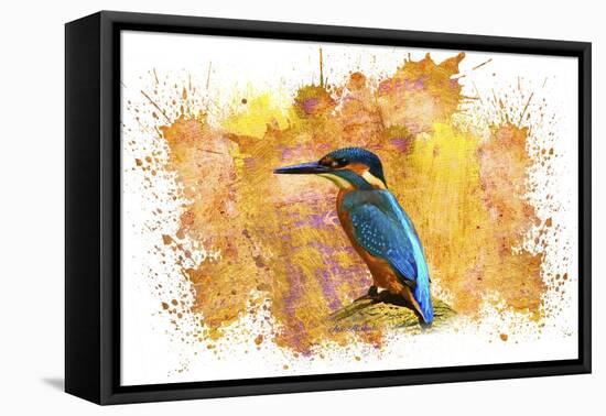 Bird Collection 2-Ata Alishahi-Framed Stretched Canvas