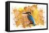 Bird Collection 2-Ata Alishahi-Framed Stretched Canvas