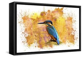 Bird Collection 2-Ata Alishahi-Framed Stretched Canvas