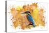 Bird Collection 2-Ata Alishahi-Stretched Canvas