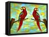 Bird Collection 40Nov1-Ata Alishahi-Framed Stretched Canvas