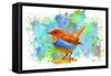 Bird Collection 4-Ata Alishahi-Framed Stretched Canvas
