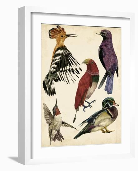 Bird Collection II-Melissa Wang-Framed Art Print