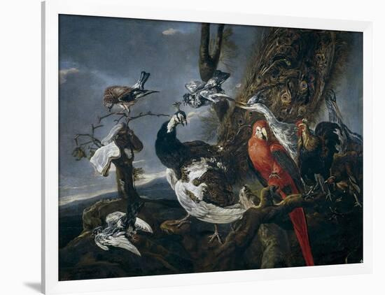 Bird Concert, 1661-Jan Fyt-Framed Giclee Print