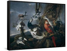 Bird Concert, 1661-Jan Fyt-Framed Stretched Canvas