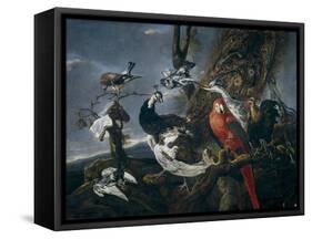 Bird Concert, 1661-Jan Fyt-Framed Stretched Canvas