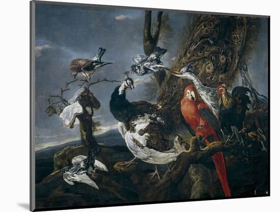 Bird Concert, 1661-Jan Fyt-Mounted Giclee Print