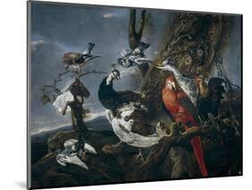 Bird Concert, 1661-Jan Fyt-Mounted Giclee Print