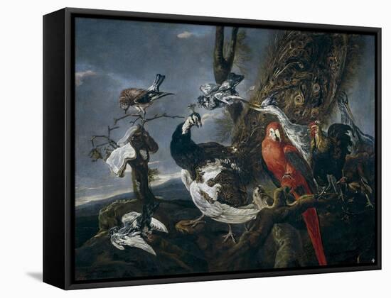 Bird Concert, 1661-Jan Fyt-Framed Stretched Canvas