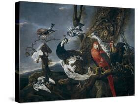 Bird Concert, 1661-Jan Fyt-Stretched Canvas