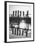 Bird Counters of the Audubon Society Standing on a Bridge-Francis Miller-Framed Photographic Print