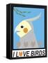 Bird Cup-Marie Sansone-Framed Stretched Canvas