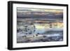 Bird Dawn 2-Robert Goldwitz-Framed Giclee Print