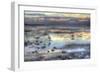 Bird Dawn 2-Robert Goldwitz-Framed Giclee Print