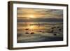 Bird Dawn 4-Robert Goldwitz-Framed Giclee Print