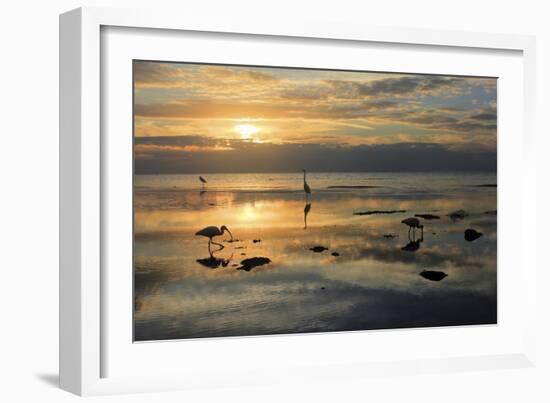 Bird Dawn 4-Robert Goldwitz-Framed Giclee Print