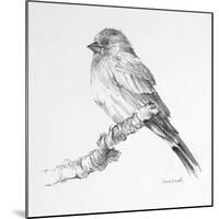 Bird Drawing I-Lanie Loreth-Mounted Art Print