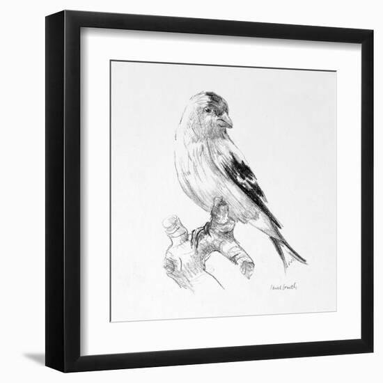 Bird Drawing II-Lanie Loreth-Framed Art Print