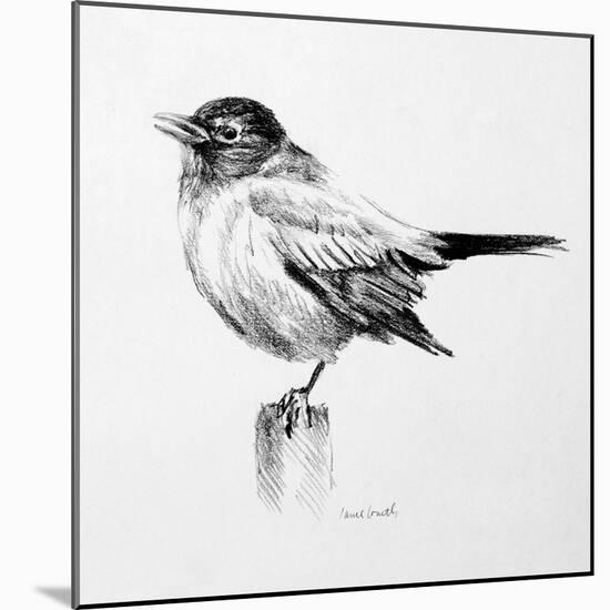 Bird Drawing III-Lanie Loreth-Mounted Art Print