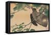 Bird Eating a Grape-Kuwagata Kesai-Framed Stretched Canvas