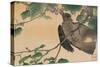 Bird Eating a Grape-Kuwagata Kesai-Stretched Canvas