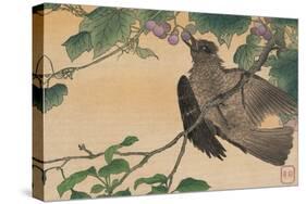 Bird Eating a Grape-Kuwagata Kesai-Stretched Canvas