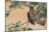 Bird Eating a Grape-Kuwagata Kesai-Mounted Art Print