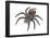 Bird-Eating Spider (Theraphosa), Arachnids-Encyclopaedia Britannica-Framed Poster