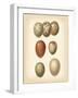 Bird Egg Study I-Vision Studio-Framed Art Print