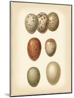 Bird Egg Study I-Vision Studio-Mounted Art Print