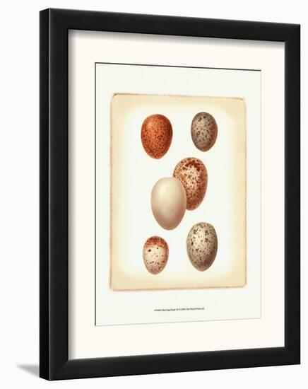 Bird Egg Study III-null-Framed Art Print