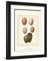 Bird Egg Study VI-null-Framed Art Print