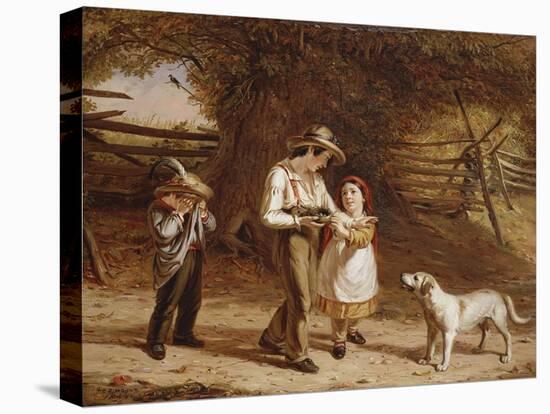 Bird-Egging, 1844-David Gilmour Blythe-Stretched Canvas