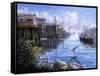 Bird Eye View-Nicky Boehme-Framed Stretched Canvas