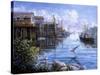 Bird Eye View-Nicky Boehme-Stretched Canvas