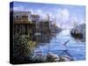 Bird Eye View-Nicky Boehme-Stretched Canvas