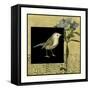 Bird Fantasy I-Jennifer Goldberger-Framed Stretched Canvas