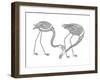 Bird Flamingos 1-Neeti Goswami-Framed Art Print